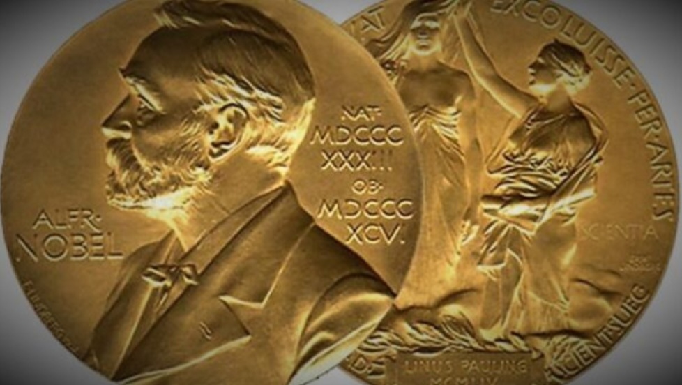 The Paradox of the Nobel Prize Itself