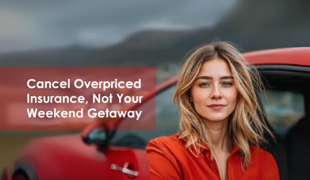 Drive with Confidence: Your Complete Guide to Affordable Auto Insurance with Southern Eagle Insurance